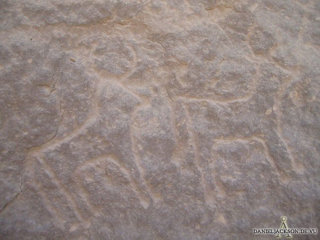 Zwei prähistorische Kühe am Geierfelsen in El-Kab