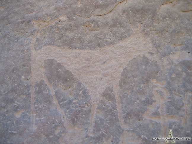 Seth-Tier auf dem Geierfelsen?