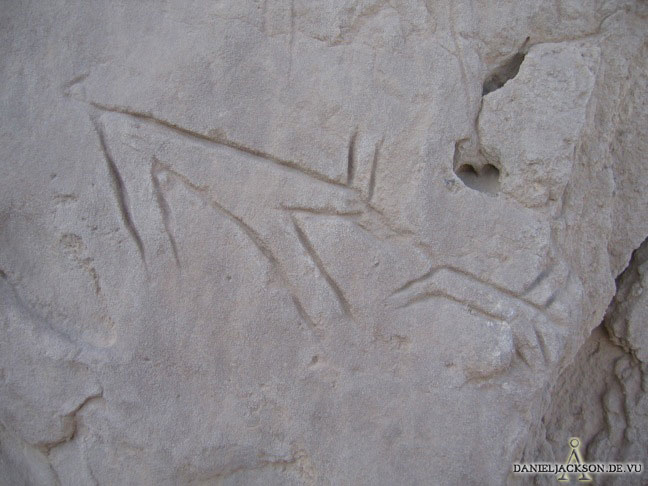 Ritzzeichnung von zwei Hunden